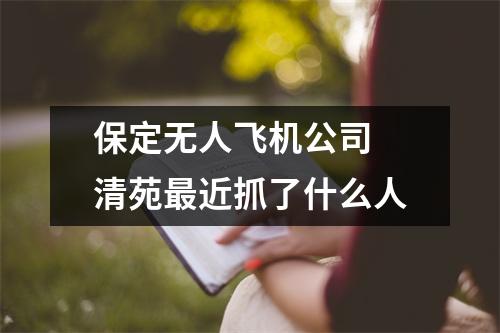 保定无人飞机公司 清苑最近抓了什么人
