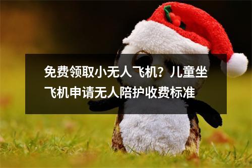 免费领取小无人飞机？儿童坐飞机申请无人陪护收费标准