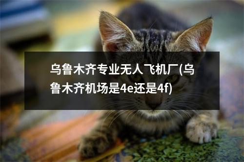 乌鲁木齐专业无人飞机厂(乌鲁木齐机场是4e还是4f)