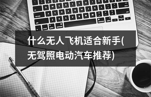 什么无人飞机适合新手(无驾照电动汽车推荐)