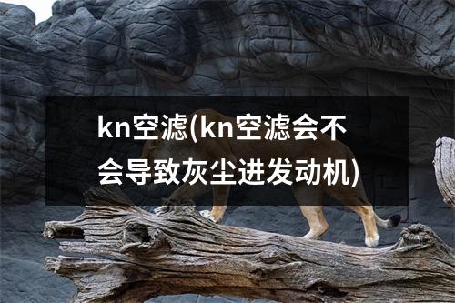 kn空滤(kn空滤会不会导致灰尘进发动机)
