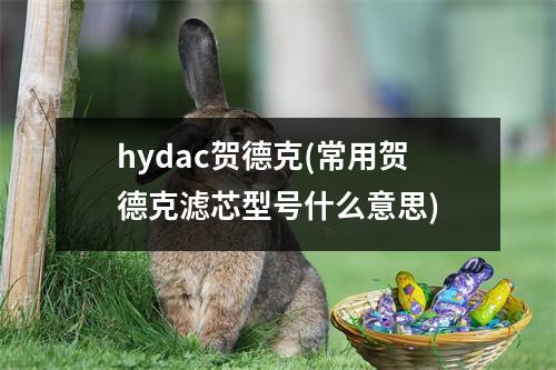 hydac贺德克(常用贺德克滤芯型号什么意思)