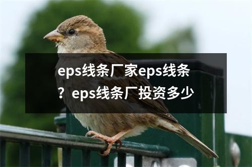 eps线条厂家eps线条？eps线条厂投资多少