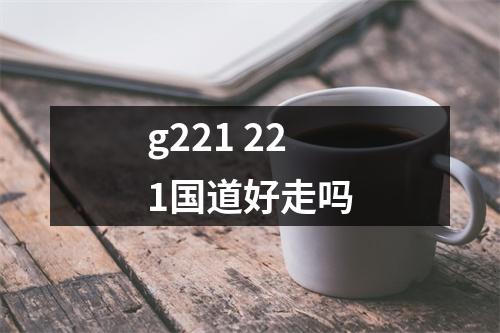 g221 221国道好走吗