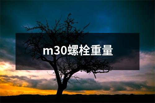 m30螺栓重量