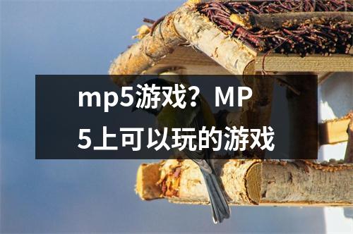 mp5游戏？MP5上可以玩的游戏