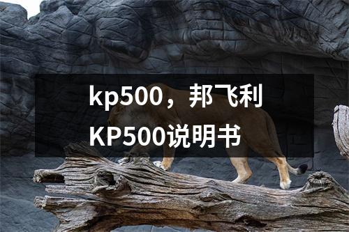kp500，邦飞利KP500说明书
