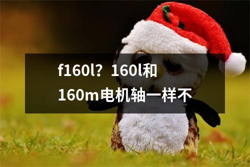 f160l？160l和160m电机轴一样不
