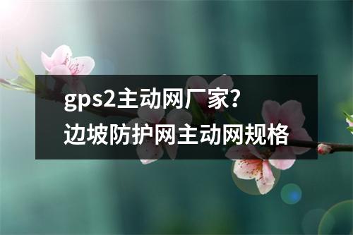 gps2主动网厂家？边坡防护网主动网规格