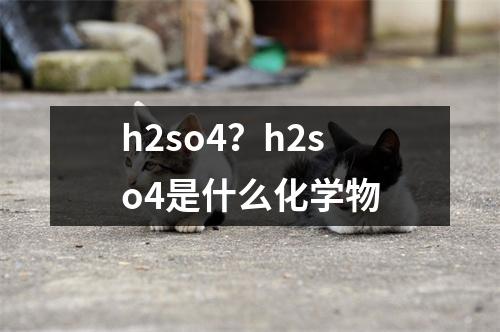 h2so4？h2so4是什么化学物