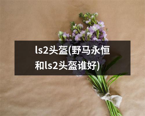 ls2头盔(野马永恒和ls2头盔谁好)