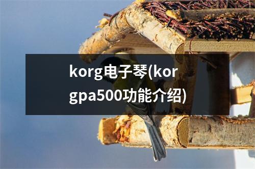 korg电子琴(korgpa500功能介绍)