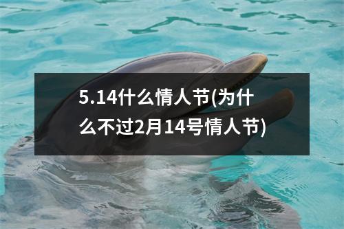 5.14什么情人节(为什么不过2月14号情人节)