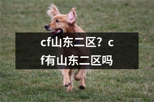 cf山东二区？cf有山东二区吗