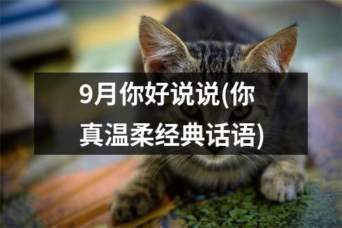 9月你好说说(你真温柔经典话语)