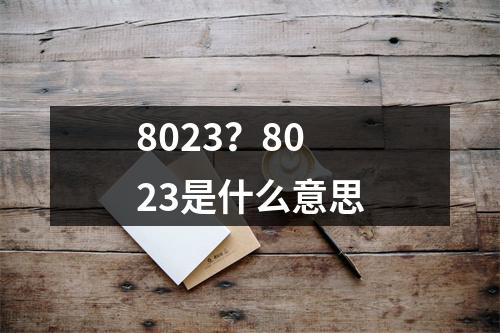 8023？8023是什么意思