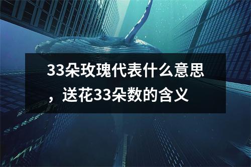 33朵玫瑰代表什么意思，送花33朵数的含义