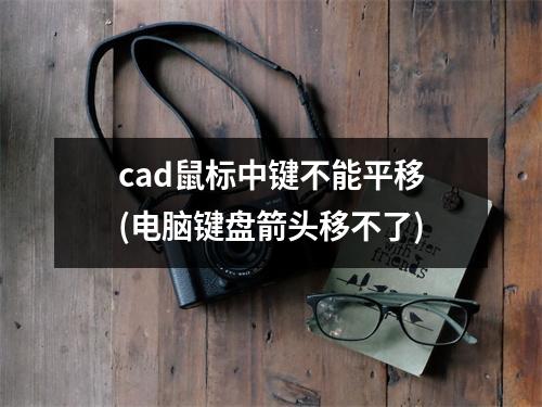 cad鼠标中键不能平移(电脑键盘箭头移不了)